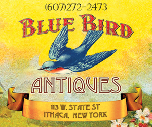 bluebird ad